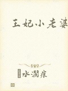 王妃小老婆