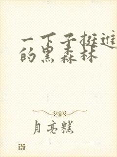 一下子挺进浓密的黑森林