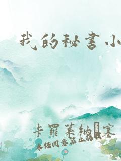 我的秘书小姐