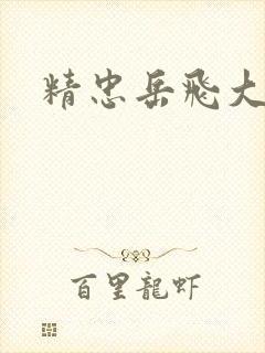 精忠岳飞大结局