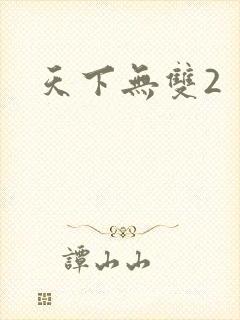 天下无双2