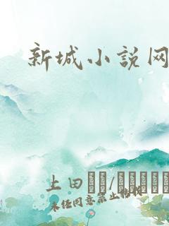 新城小说网