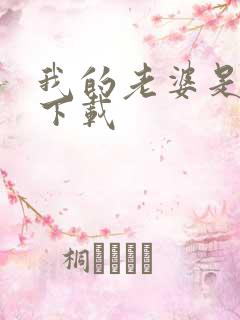 我的老婆是卧底下载