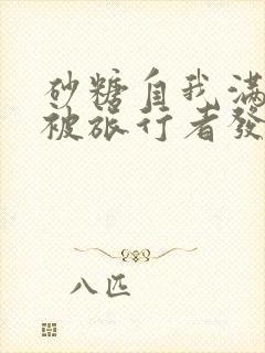 砂糖自我满足时被旅行者发现小说