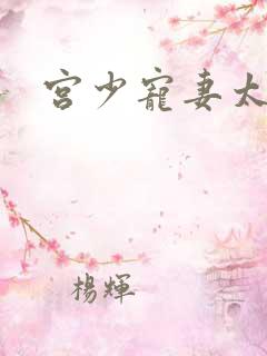 宫少宠妻太凶猛