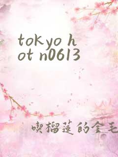 tokyo hot n0613