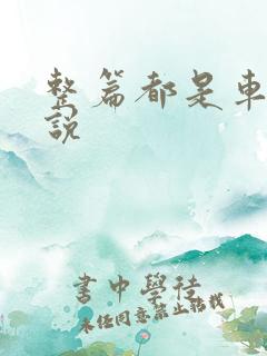 整篇都是车的小说