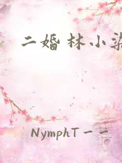 二婚 林小染