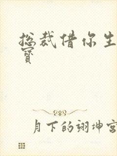 总裁借你生个宝宝