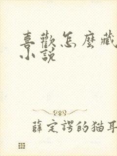 喜欢怎么藏不住小说