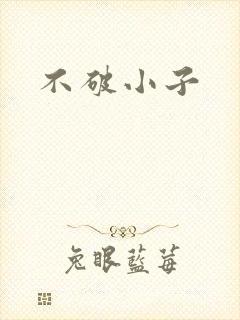 不破小子