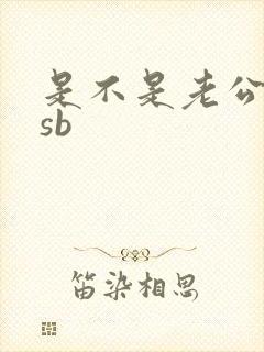 是不是老公的小sb