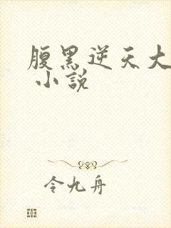 腹黑逆天大小姐 小说