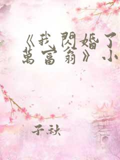 《我闪婚了个亿万富翁》小说