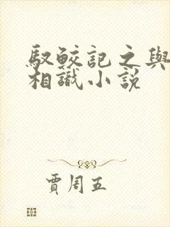 驭鲛记之与君初相识小说