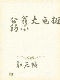 公翁大龟挺进我的小