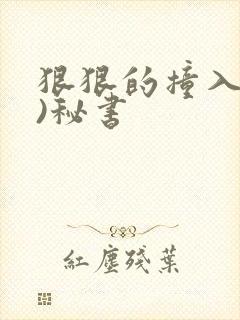 狠狠的撞入(h)秘书