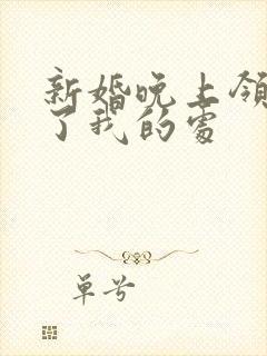 新婚晚上领导破了我的处