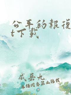 公平的报复txt下载