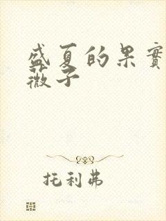 盛夏的果实 小薇子