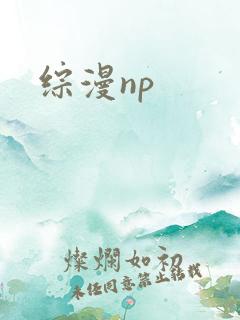 综漫np