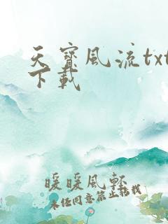 天宝风流txt下载