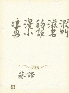 浪漫的滋润刘大勇小说名叫什么?