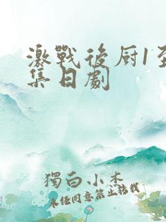 激战后厨1至5集日剧