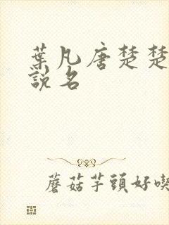 叶凡唐楚楚的小说名