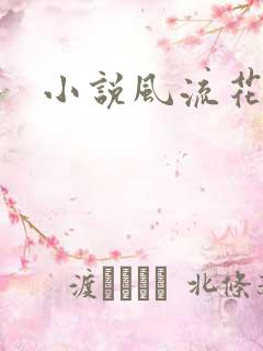 小说风流花少