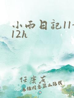 小雨日记11-12h