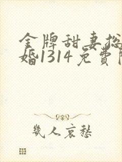 金牌甜妻总裁宠婚1314免费阅读