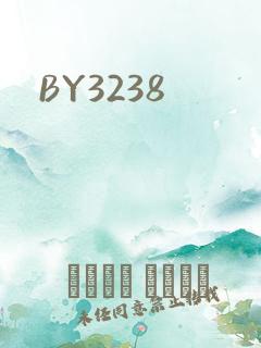BY3238