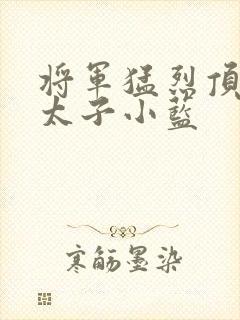 将军猛烈顶弄h太子小蓝