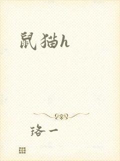 鼠猫h