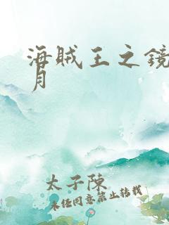 海贼王之镜花水月