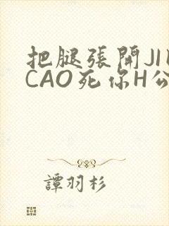 把腿张开JI巴CAO死你H公园