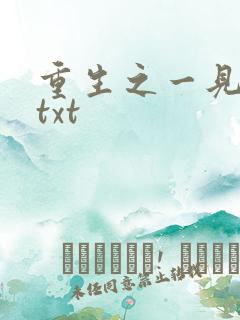 重生之一见倾心txt