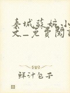 秦城苏婉小说全文_免费阅读最新