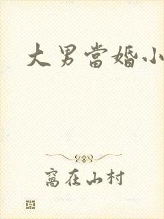 大男当婚小说