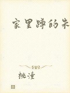 家里蹲的朱教授