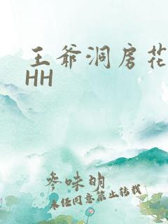 王爷洞房花烛夜HH
