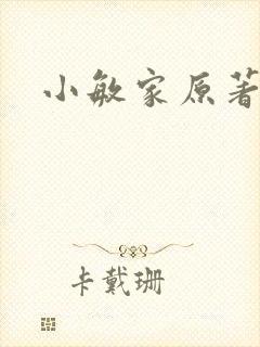 小敏家原著小说