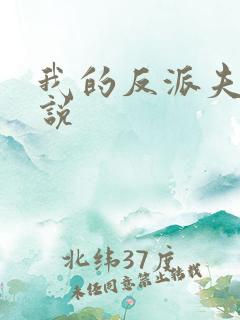 我的反派夫君小说