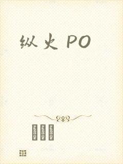 纵火 PO