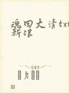 魂回大清txt新浪