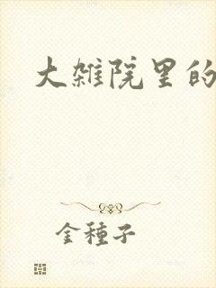 大杂院里的女人