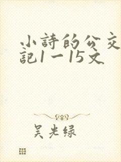 小诗的公交车日记1一15文