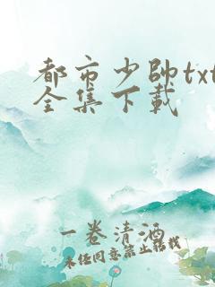 都市少帅txt全集下载