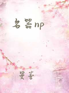 名器np
